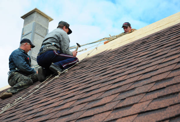 Trusted Scotts Hill, TN Roofing Contractor Experts
